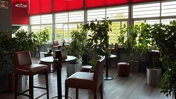 triger gallery_HOT Narvarte